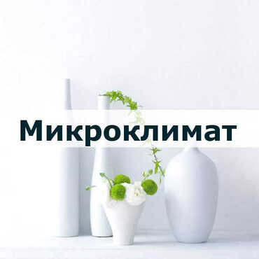 Штукатурка способствует улучшению микроклимата Штукатурка способствует улучшению микроклимата